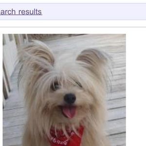 Meet your Posher, Marcy